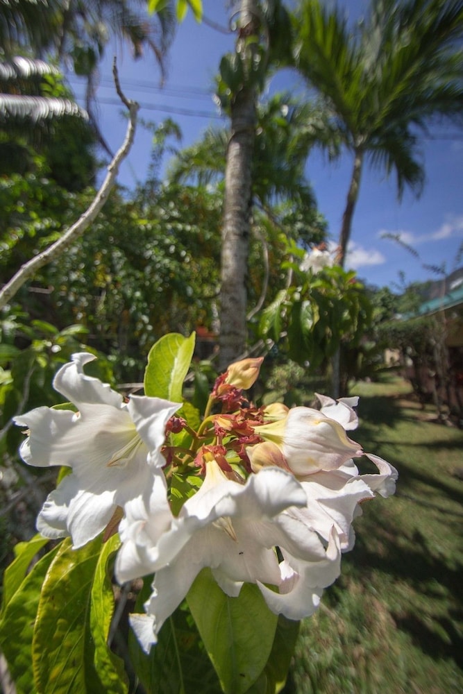 Lemongrass Lodge