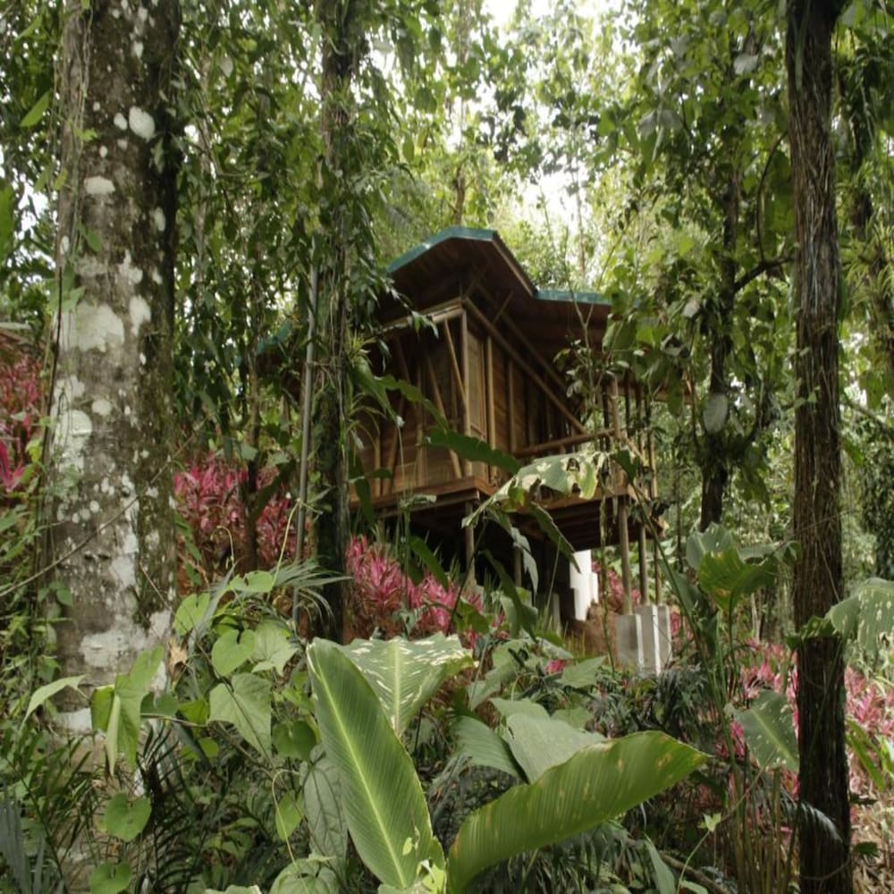 Macaw Lodge