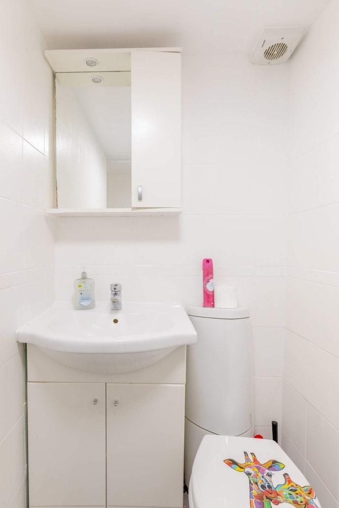Roomy 3BD by Hampstead Heath!