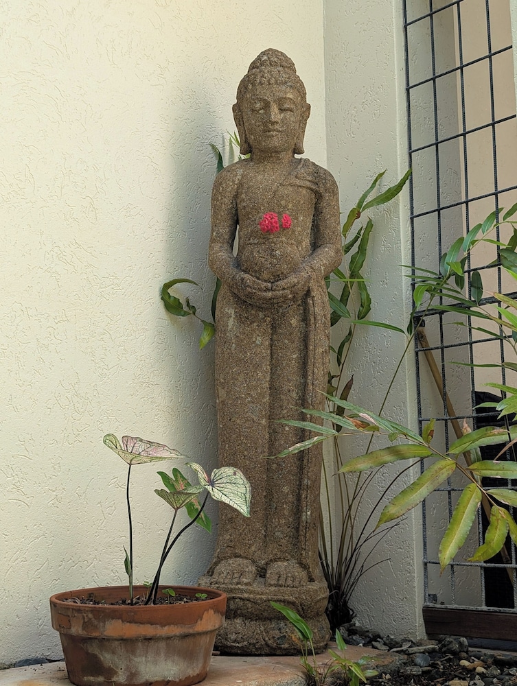 Photo 48