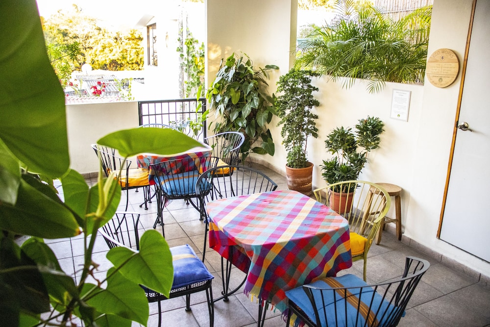 Árbol de Fuego Eco-hotel, a green experience in the city