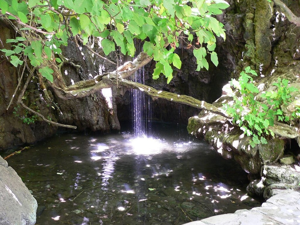 Photo 43