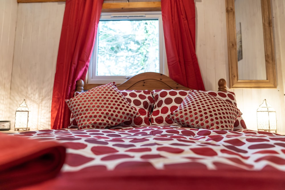 Bluebell Lodge set in a Beautiful 24 Acre Woodland Holiday Park view 2