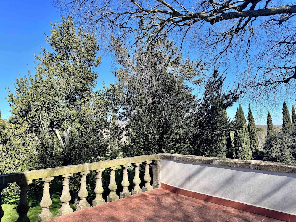 New Estate of Joy a Magnificent Historic Villa Near Rome on Glorious Ground Pool and Olives Galore