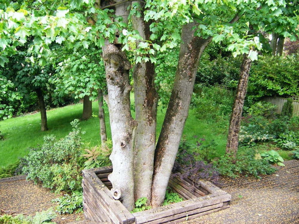 Photo 32