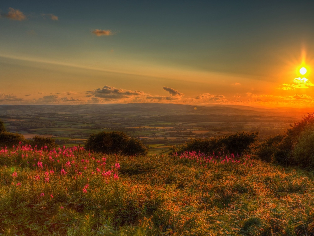 The Linhay
