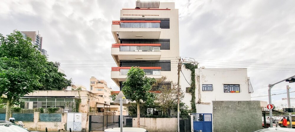 Kalisher Ophrys in Tel Aviv-yafo