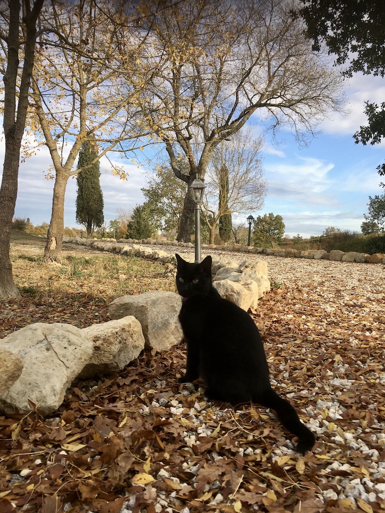 Vento Dorcia view 3