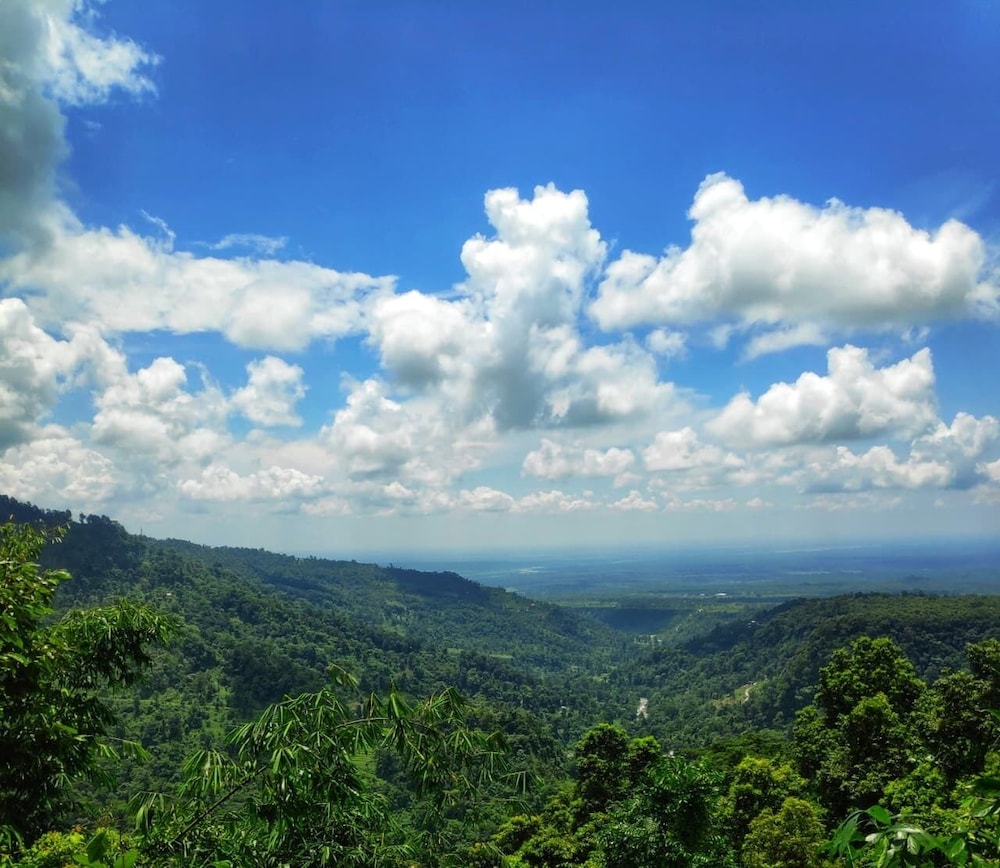 Infinity Viewpoint Homestay