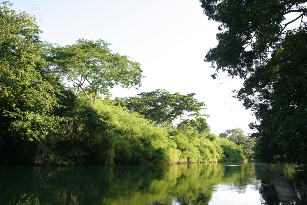 Belize Vacations - Cohune Palms River Cabanas - Property Image 28