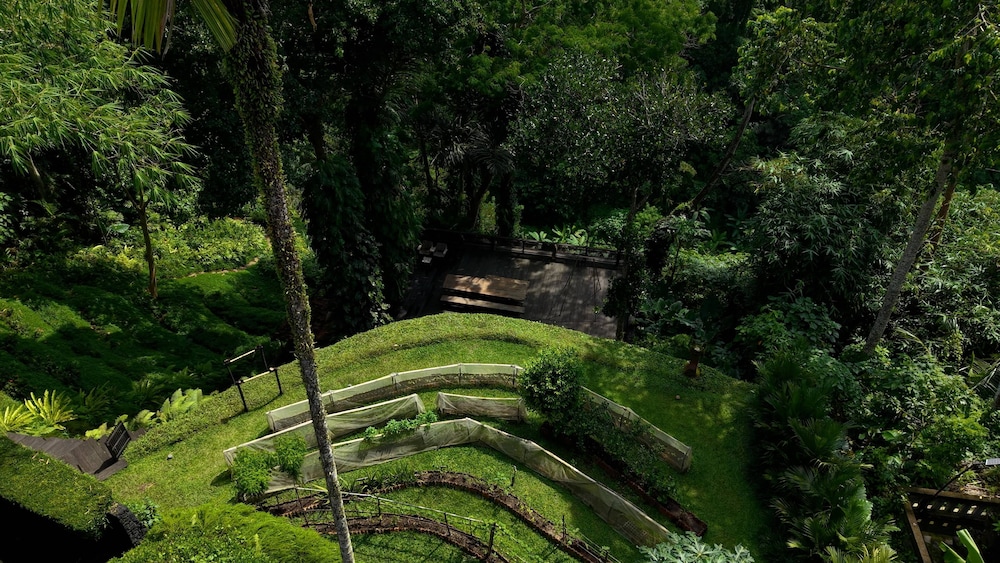 Sumeru Botanical Estate