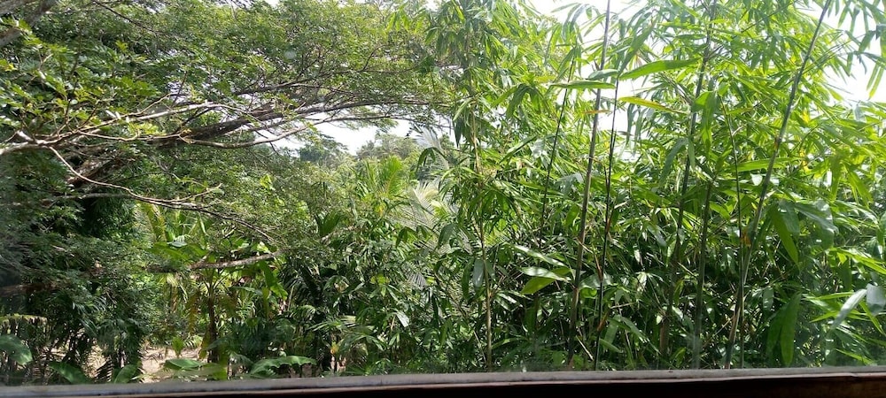 Matsya Island Retreat