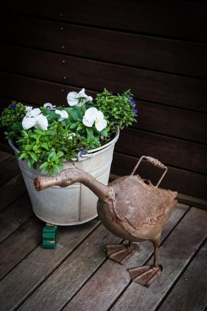 Mornington Bed and Breakfast