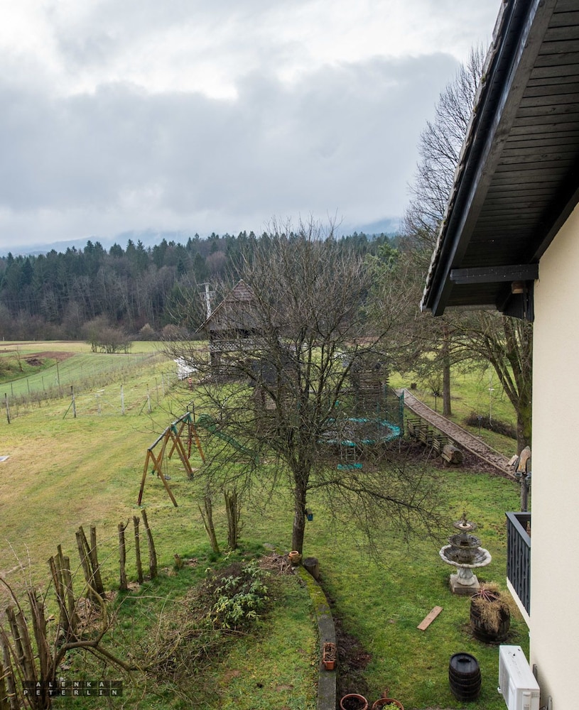 Guesthouse Kolesar, photo 16