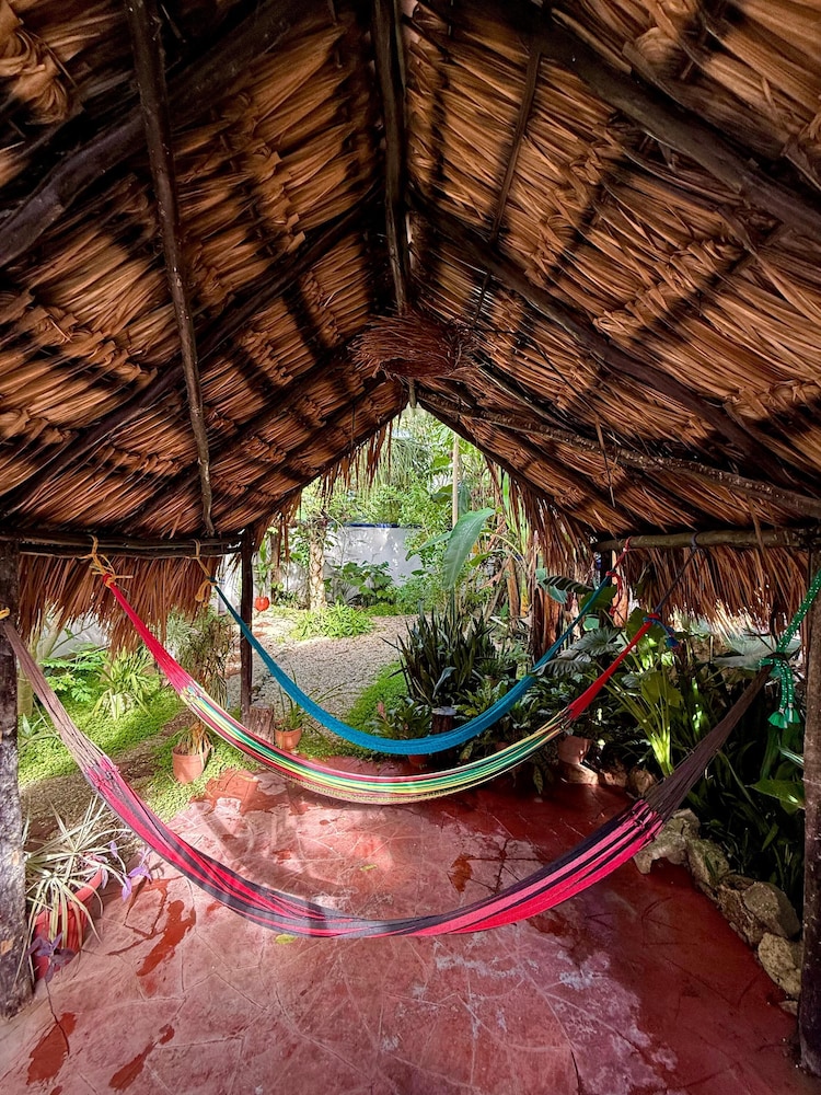 La Casa Del Arbol
