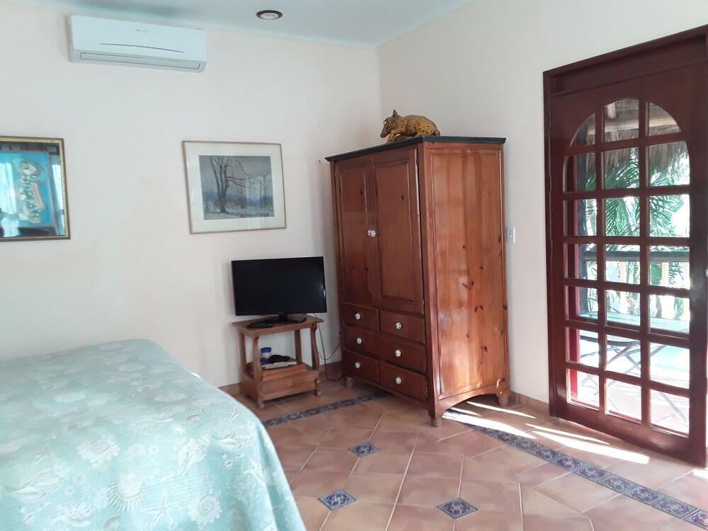 Casa Gatos