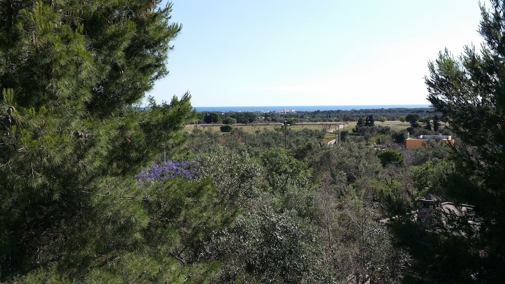 Tenuta la Siesta