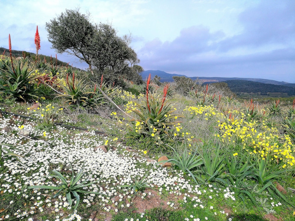 Agriturismo Erbe Matte - Campingplads, Billede 30