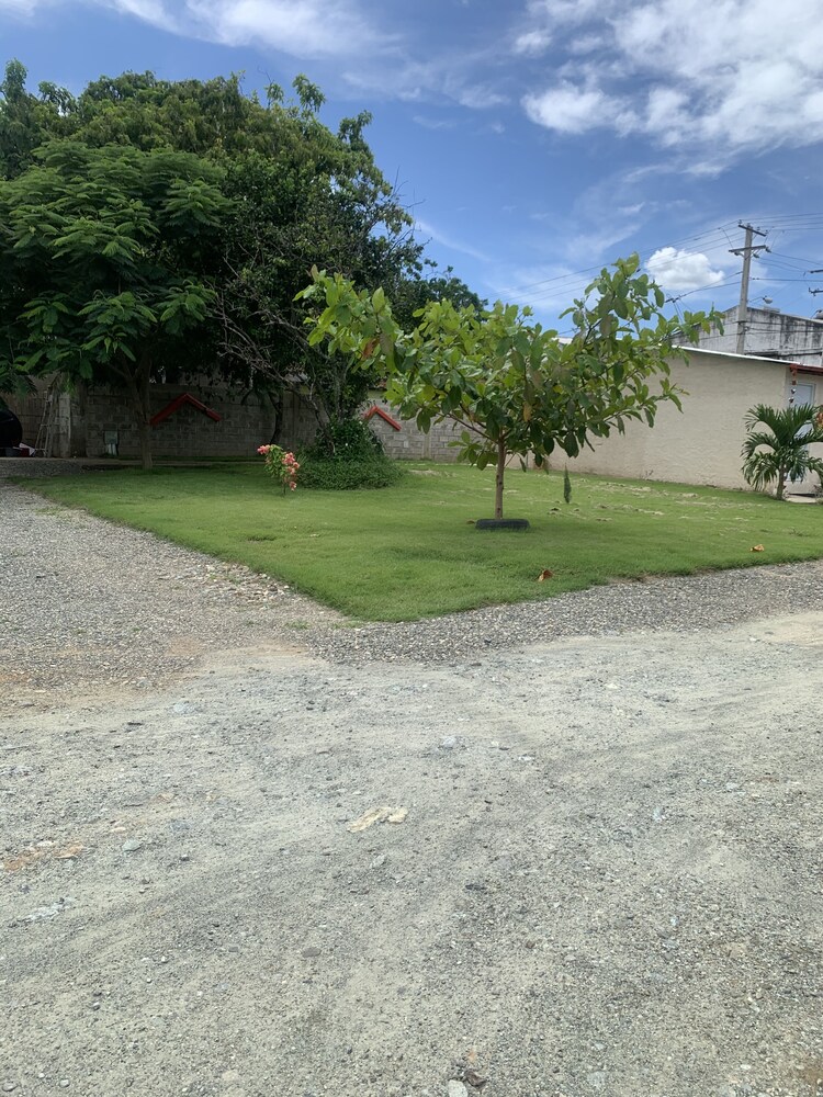 Photo 45