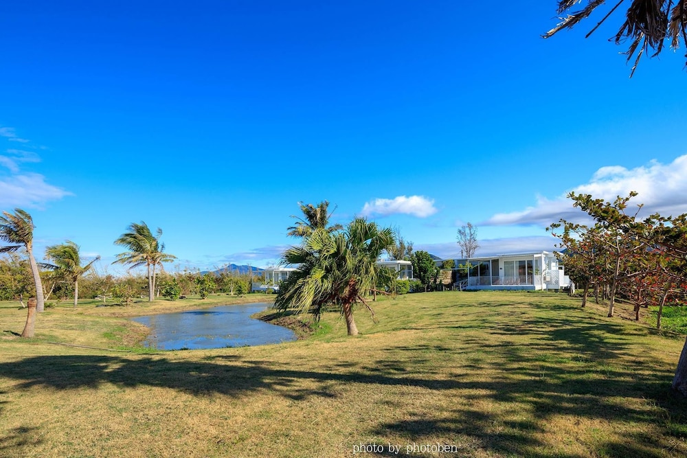 Wild Island B&B