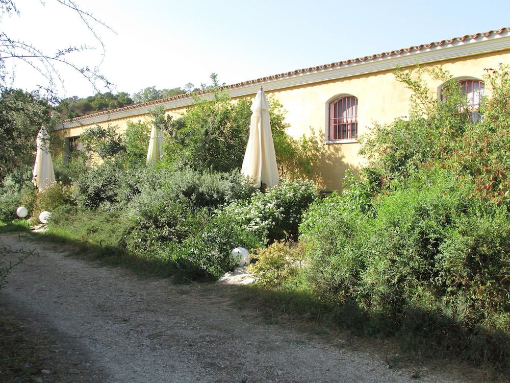 Cavalli di S'Arcaite