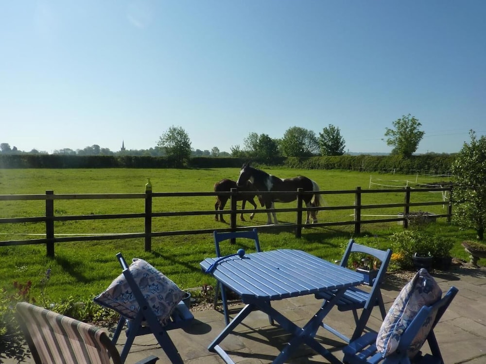 The Paddock at Peacock Farm