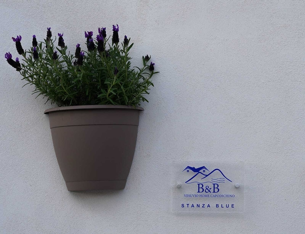 Vesuvio Home Capodichino Blue