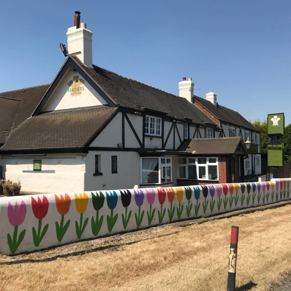 The Plume Of Feathers
