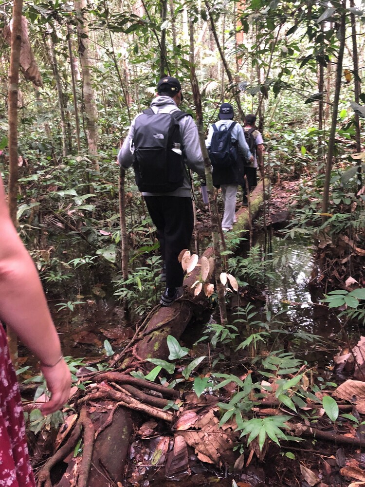 Curupira Amazon Lodge