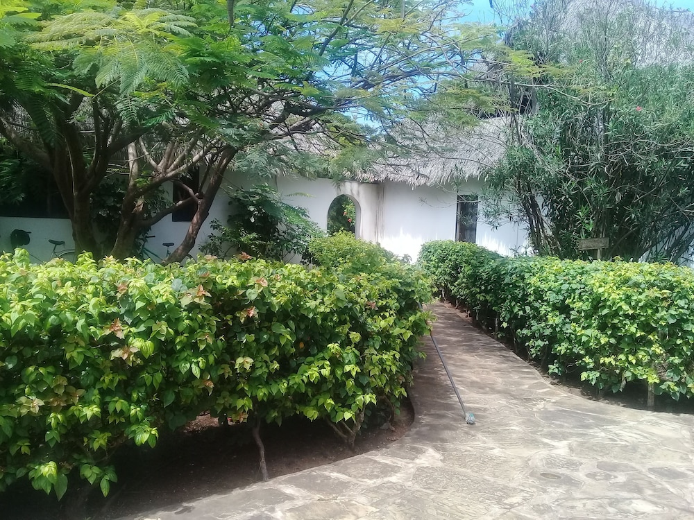 Lion Villa