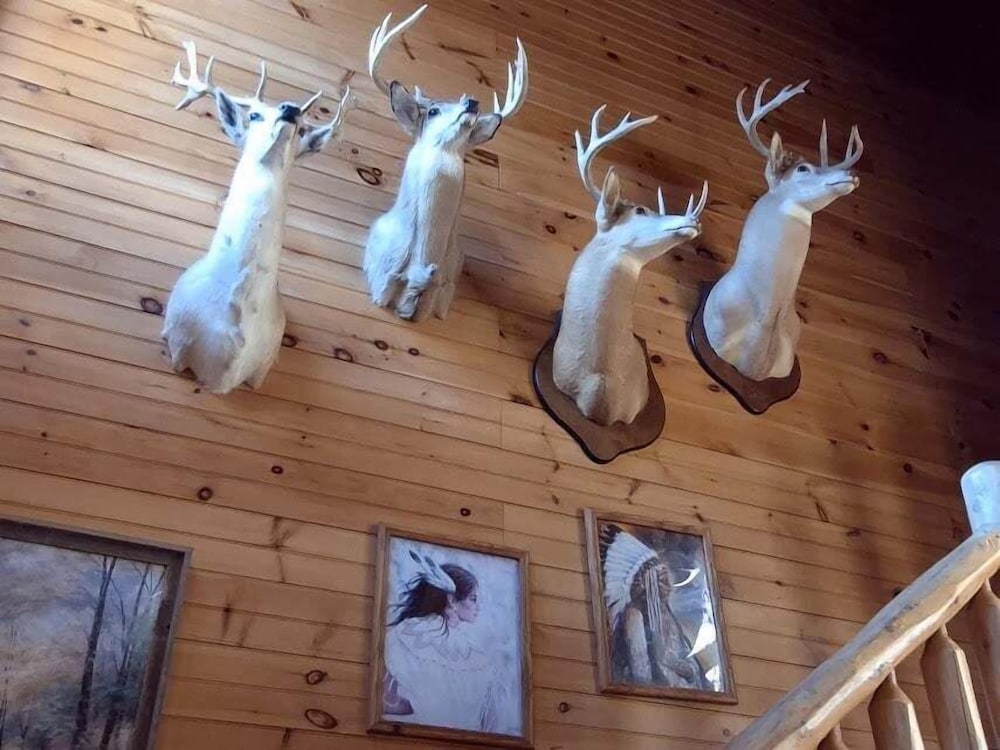 Reservation 2 Bedroom Cabin