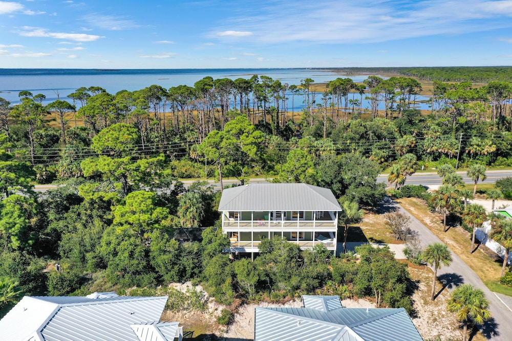 Cape Palms
