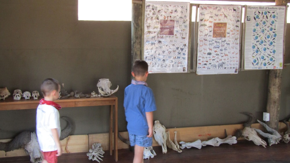 Honeyguide Ranger Camp