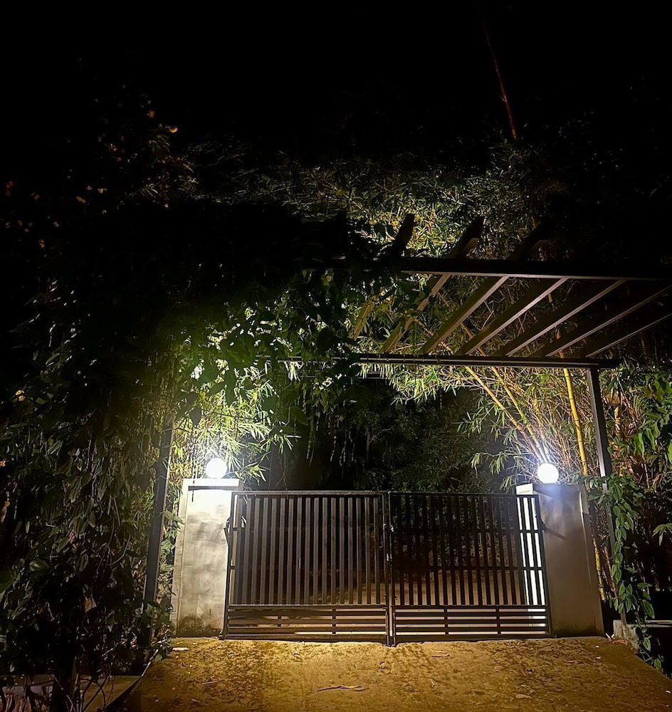 Bamboo Nest view 4