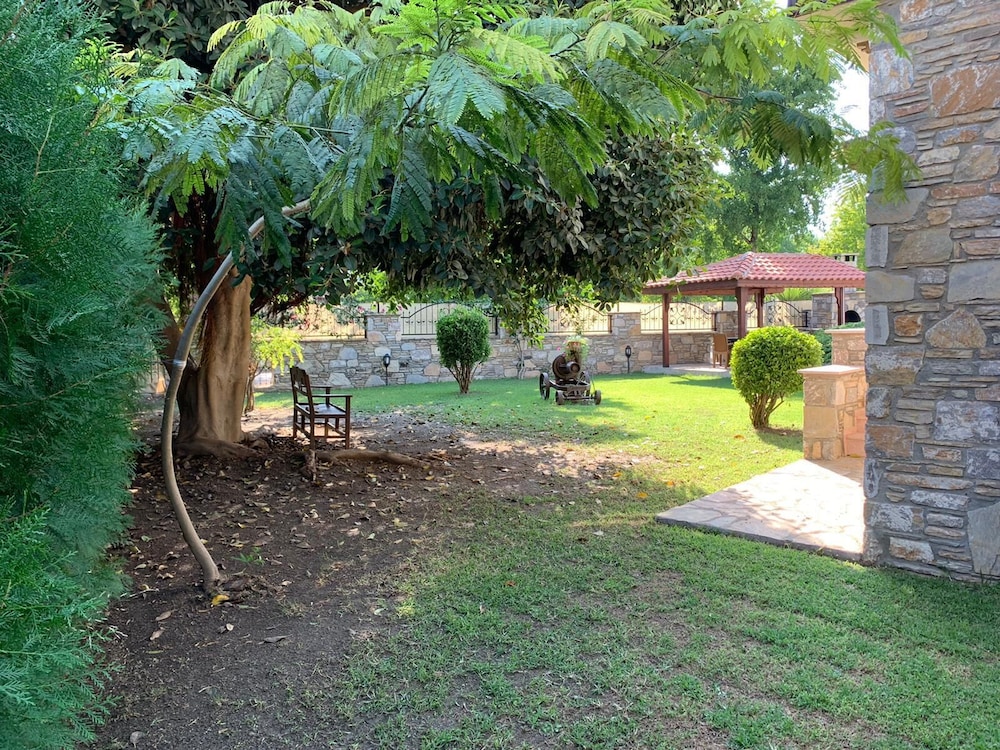 Photo 16