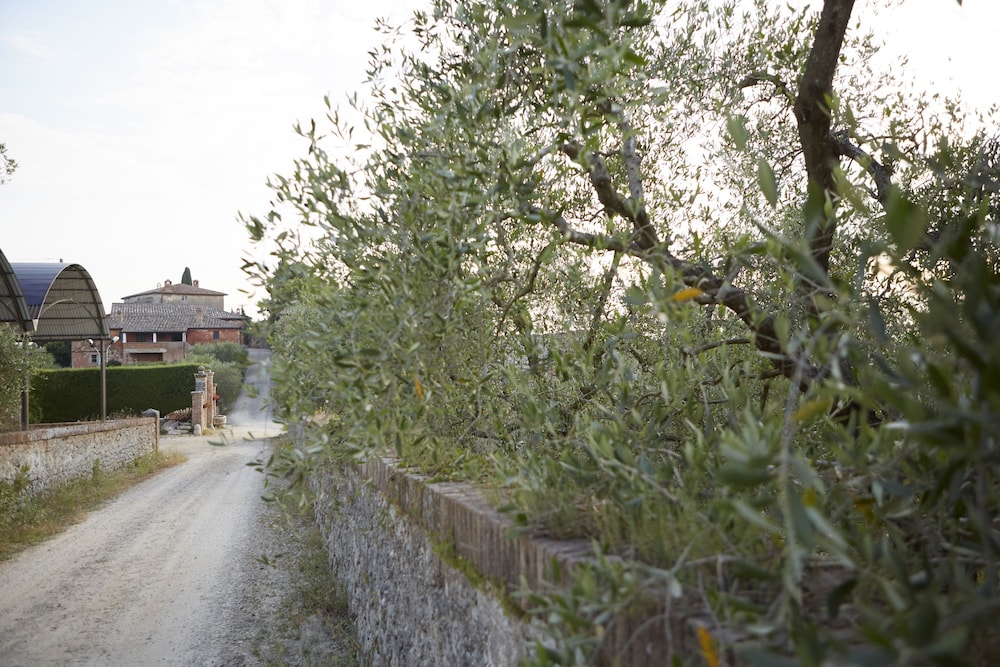 Azienda Agricola Montestigliano