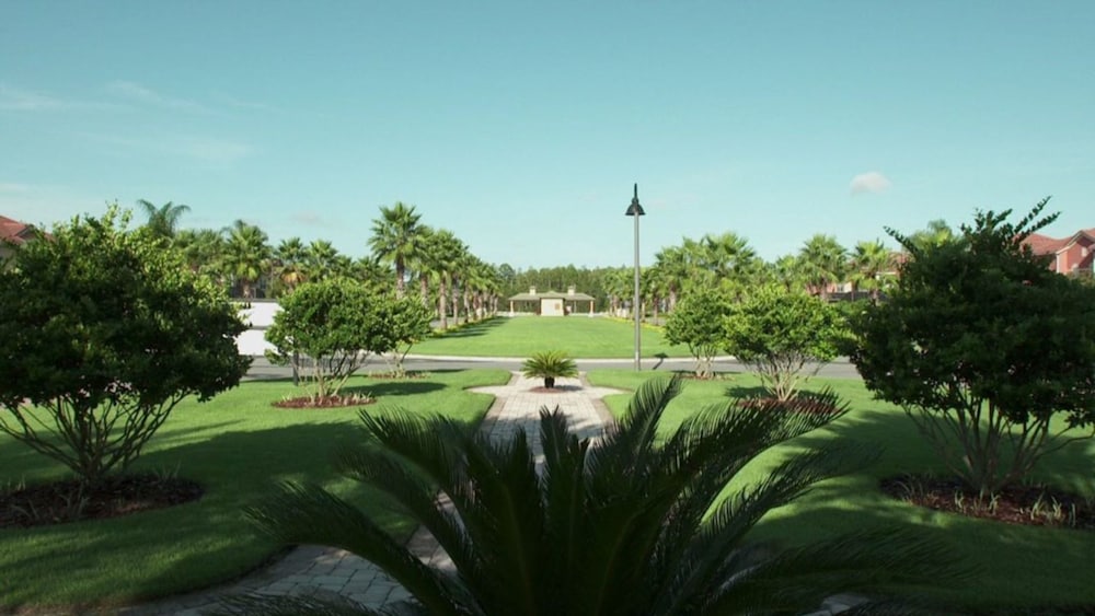 Paradise Palms 8975 - Image 4