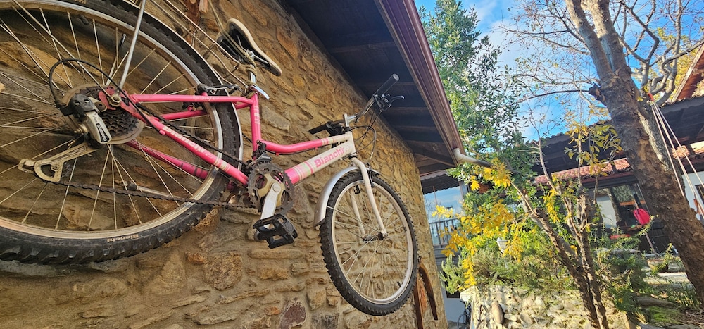 Birgi Mai Siyah Konak