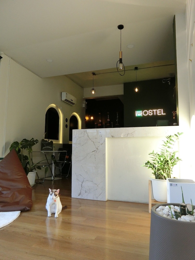 666 Cnx Hostel