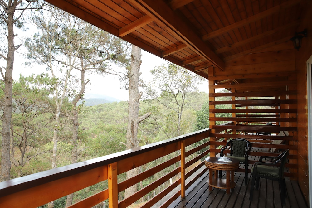 Rishat Sngi Orchid Resort, Shillong