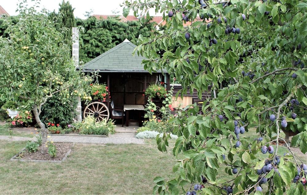 Ferienwohnung Sommergluck in Proseken