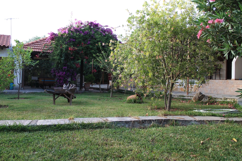 Joanna's studios
