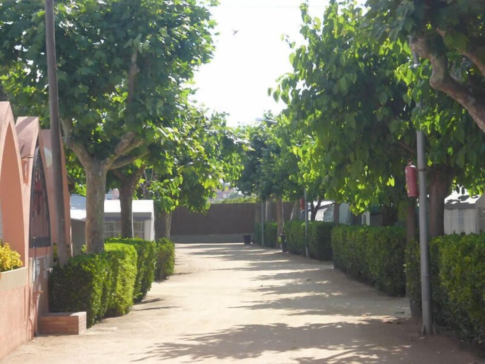 Camping El Camell