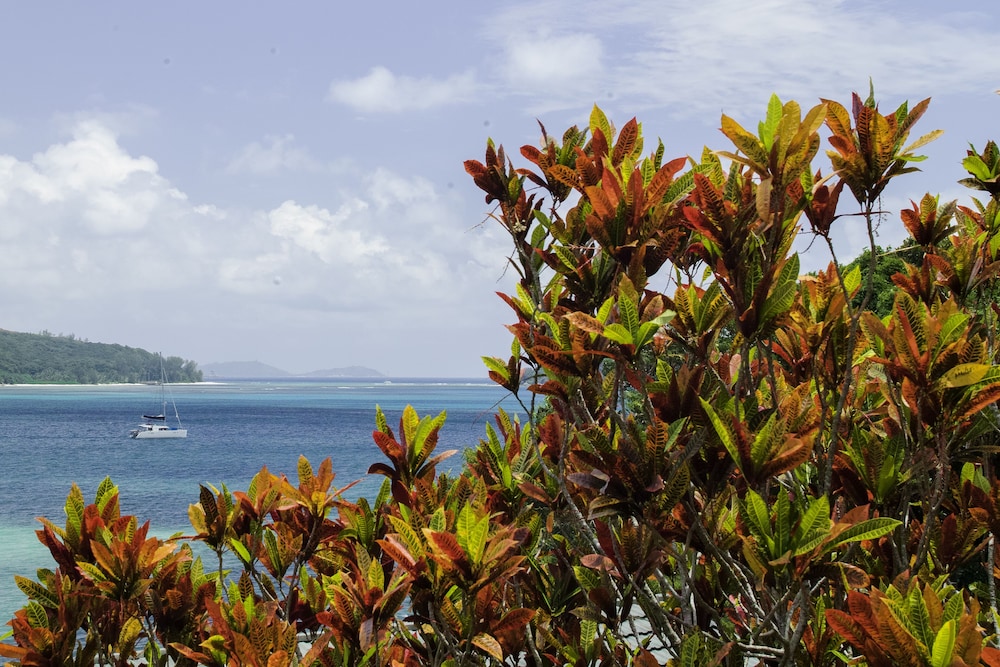 Colibri Guest House