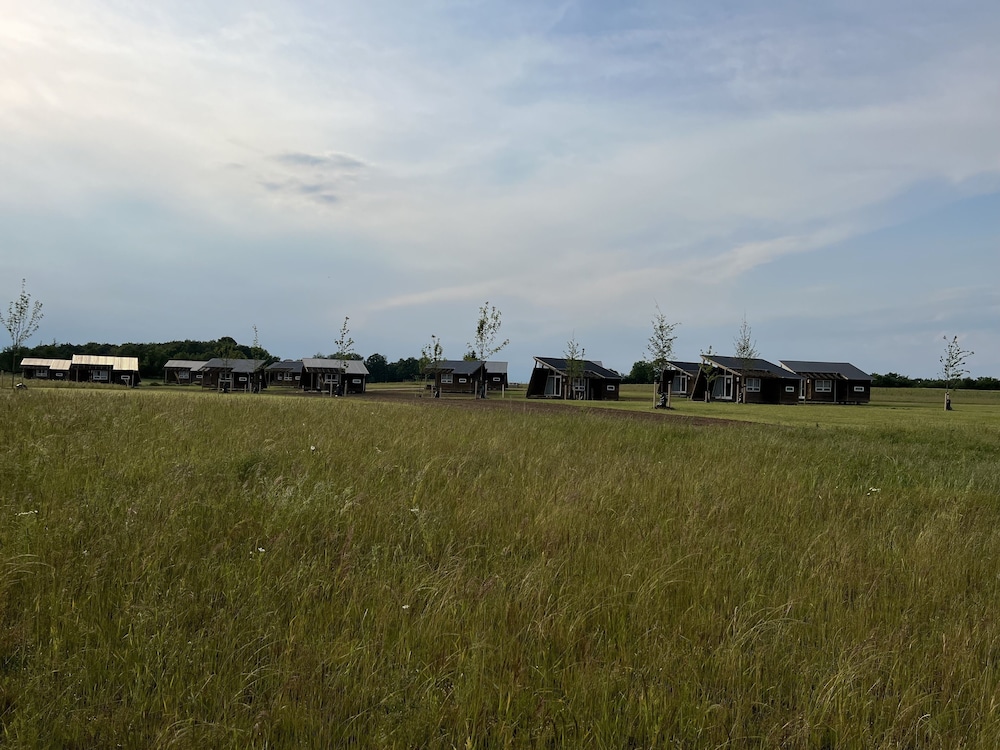 Dancamps Kolding