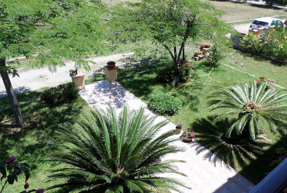 Photo 6