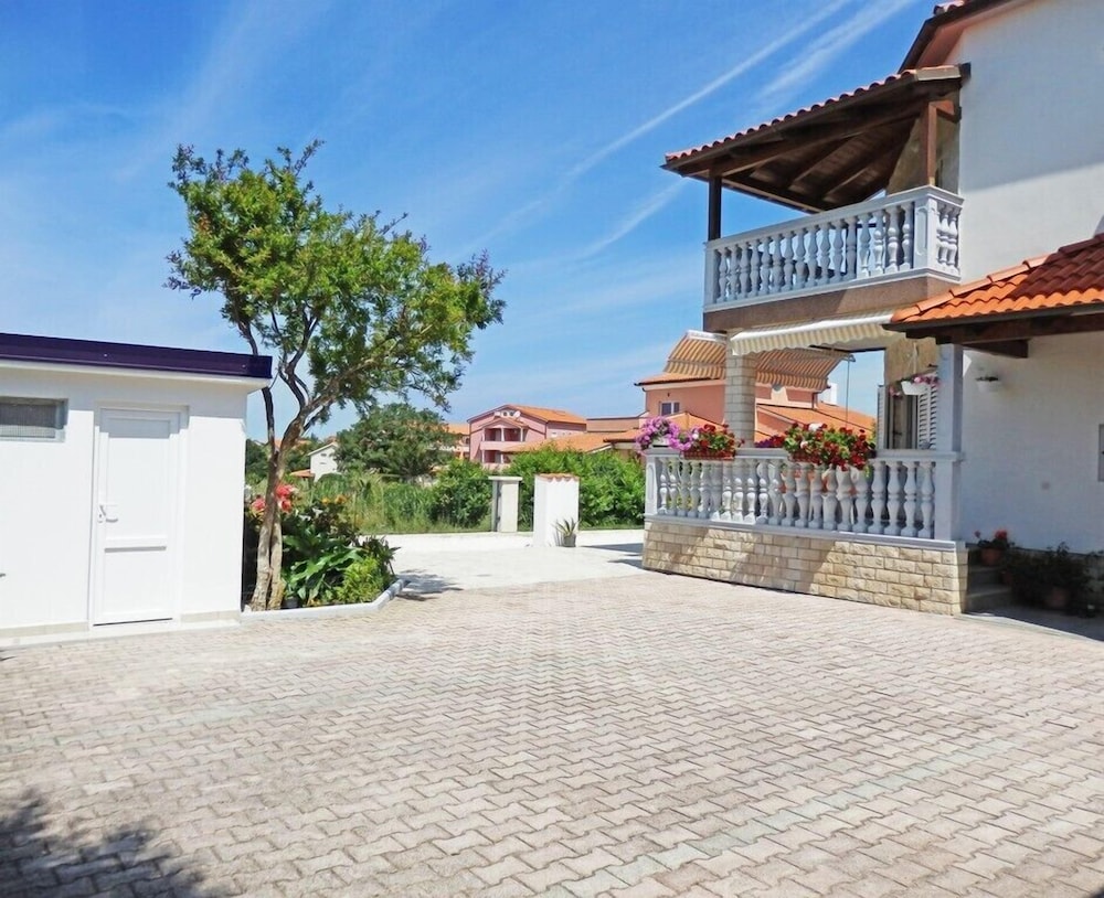 Mila - A1 view 3