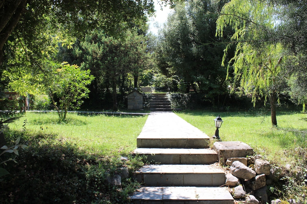 Photo 12