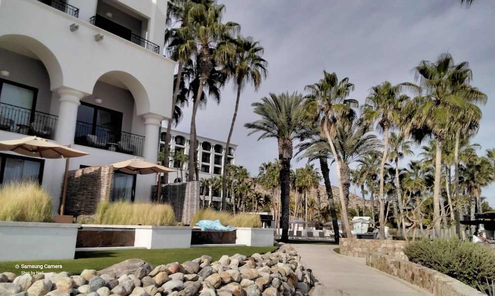 Ocean view beach suite