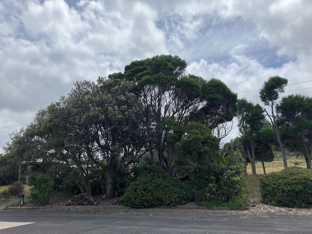 61 OCEAN ROAD MOTEL